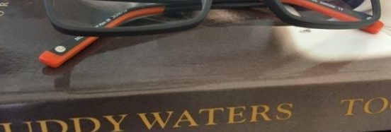 glasses and muddy waters book
